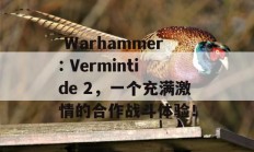  Warhammer: Vermintide 2，一个充满激情的合作战斗体验！